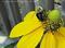 tropical touch interior landscaping preview